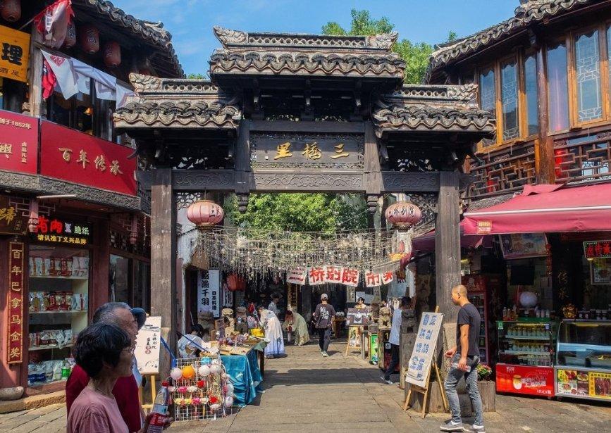 动物帮帮忙保卫家园